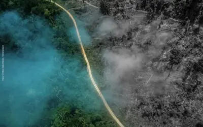 CARTA DA AMAZÔNIA 2021: Povos Indígenas, Populações e Comunidades Tradicionais brasileiras enviam mensagem aos participantes da COP26