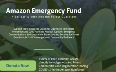 COIAB participa do lançamento do Fundo de Emergência da Amazônia