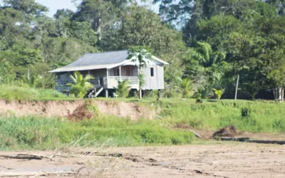 Bolsonaro e os índios isolados