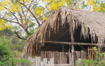 Começou as articulações para o Fundo Indígena da Amazônia Brasileira