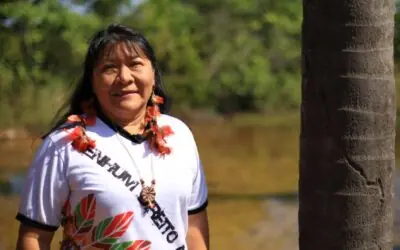 Conheça a primeira deputada federal indígena