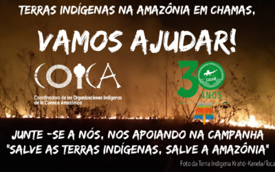 A COIAB pede todo o apoio possível para conter os avanços ilegais e as queimadas na Amazônia