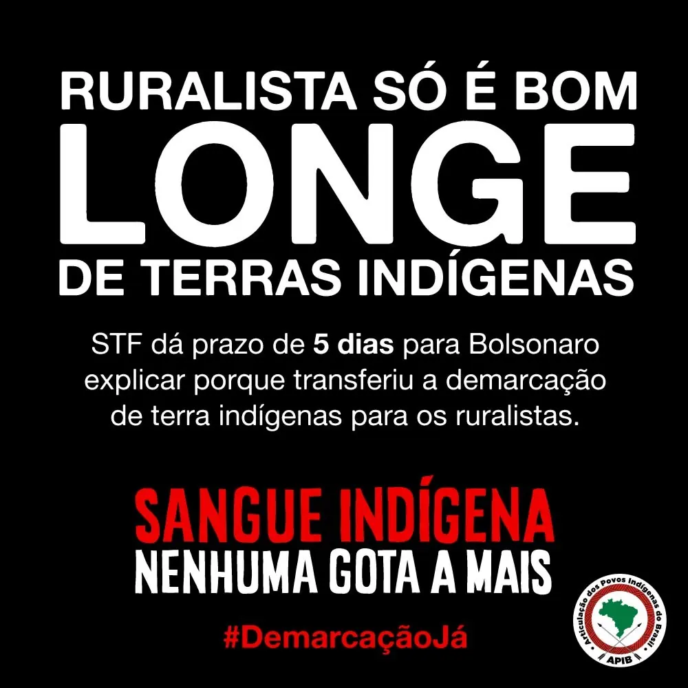 WhatsApp-Image-2019-02-08-at-15.17.09