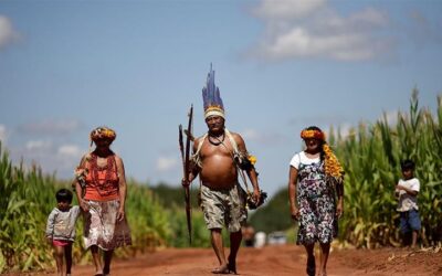 Brazil’s indigenous groups decry Bolsonaro’s escalating attacks