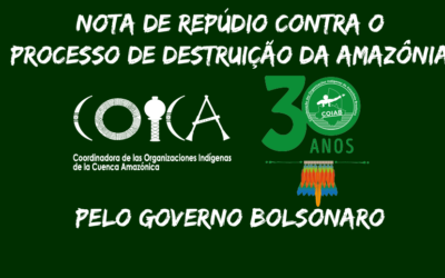 COIAB lança nota contra o processo de destruição da Amazônia pelo governo Bolsonaro