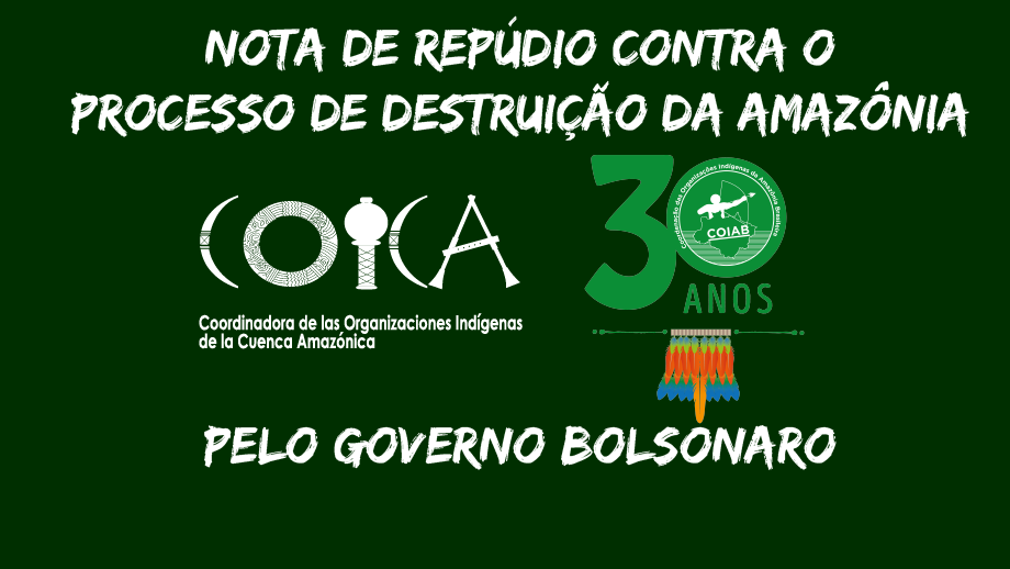 cARDArtboard-1-NOTA-AMAZONIA