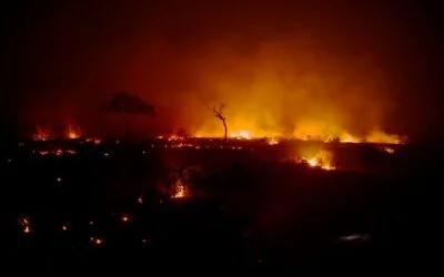 Conferência virtual: Incêndios e Desmatamento nos Territórios Registrados de Povos Indígenas em situação de Isolamento – Bolívia, Brasil e Paraguai