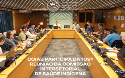 Coiab participa da 109ª reunião da Comissão Intersetorial de Saúde Indígena