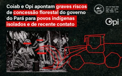 Coiab e Opi apontam graves riscos de concessão florestal do governo do Pará para povos indígenas isolados e de recente contato