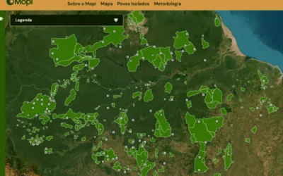 Coiab, Opi e Opan lançam plataforma para monitoramento dos povos indígenas isolados