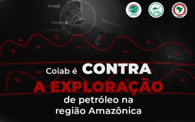 Desenvolvimento sustentável e limpo não causa impactos negativos à biodiversidade e a vida