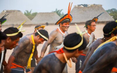 Seminário apresenta panorama sobre gestão territorial e ambiental da Amazônia indígena