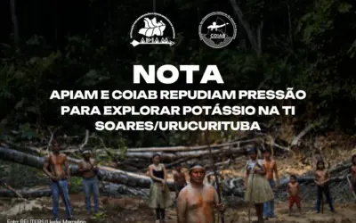 APIAM e COIAB repudiam pressão para explorar potássio na Terra Indígena Soares/Urucurituba