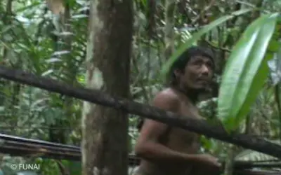 Terra Indígena aguarda demarcação há 24 anos enquanto Kawahiva isolados correm perigo