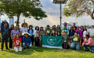 Lideranças indígenas da Amazônia brasileira participam da COP28 em Dubai