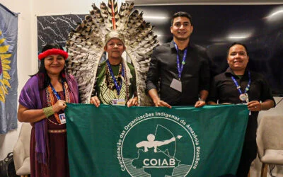 Na COP28, Coiab realiza lançamento de site sobre os Planos de Vida dos povos indígenas