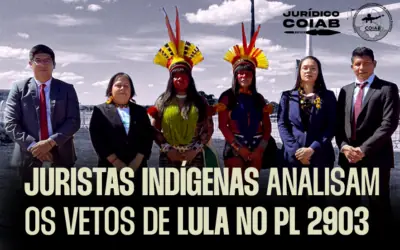 Em carta, povo Zo’é repudia concessão madeireira que governo do Pará promove sem consulta a eles. STF pediu informações