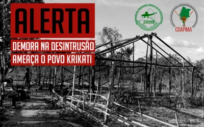 Demora na desintrusão ameaça o povo Krikati