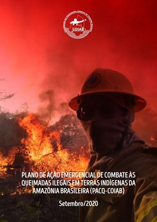 Plano de ação emergencial de combate às queimadas ilegais
