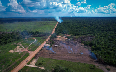 Relatório do Ministério dos Transportes não apresenta plano concreto contra impactos ambientais de obras na BR-319