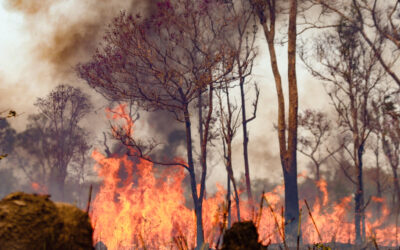 Autoridades indígenas climáticas da Amazônia Brasileira participam da Semana do Clima em Nova York