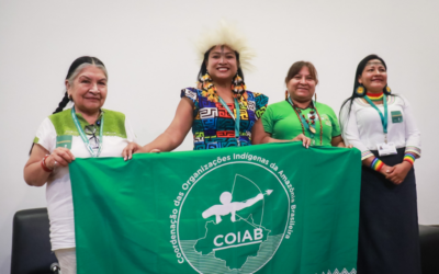 Segundo dia na COP16 da Biodiversidade tem painel sobre mulheres e governança territorial na Amazônia