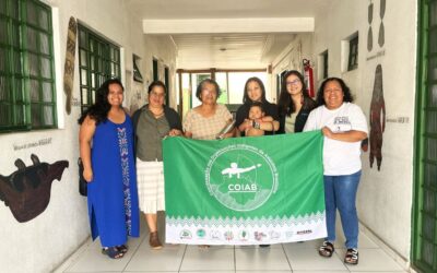 Fortalecimento das Mulheres Indígenas na Amazônia é tema de reunião entre Coiab e FIMI