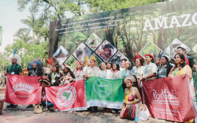 COP 16: Coiab faz panorama sobre participação dos povos indígenas na 16ª Conferência das Partes sobre diversidade Biológica