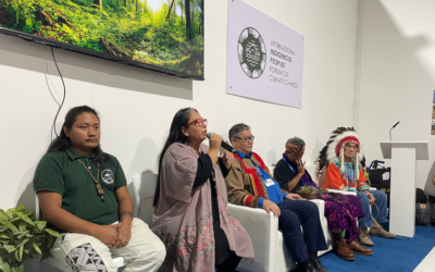 COP29: Amazônia brasileira participa de abertura do Pavilhão Indígena