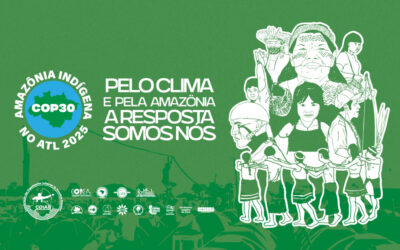 Indígenas de quatro continentes se reúnem em Brasília em defesa do clima e da Amazônia