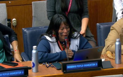 “Inegociáveis”: ONU ecoa luta da Amazônia brasileira pelos direitos dos povos indígenas