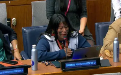 “Inegociáveis”: ONU ecoa luta da Amazônia brasileira pelos direitos dos povos indígenas