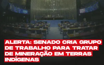 Alerta: Senado cria Grupo de Trabalho para tratar de mineração em Terras Indígenas