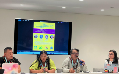 Na ONU, Coiab defende direitos de povos isolados e transição energética justa