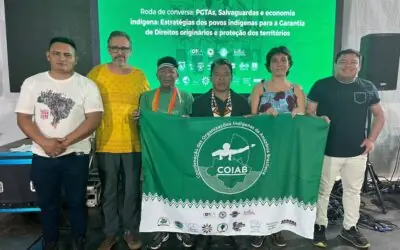 Painel: PGTA’s, Salvaguardas e Economia Indígena: Estratégias dos Povos Indígenas para a Garantia de Direitos Originários e Proteção dos Territórios