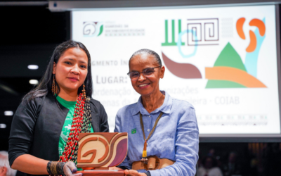 Coiab vence Prêmio Guardiãs da Sociobiodiversidade no segmento indígena