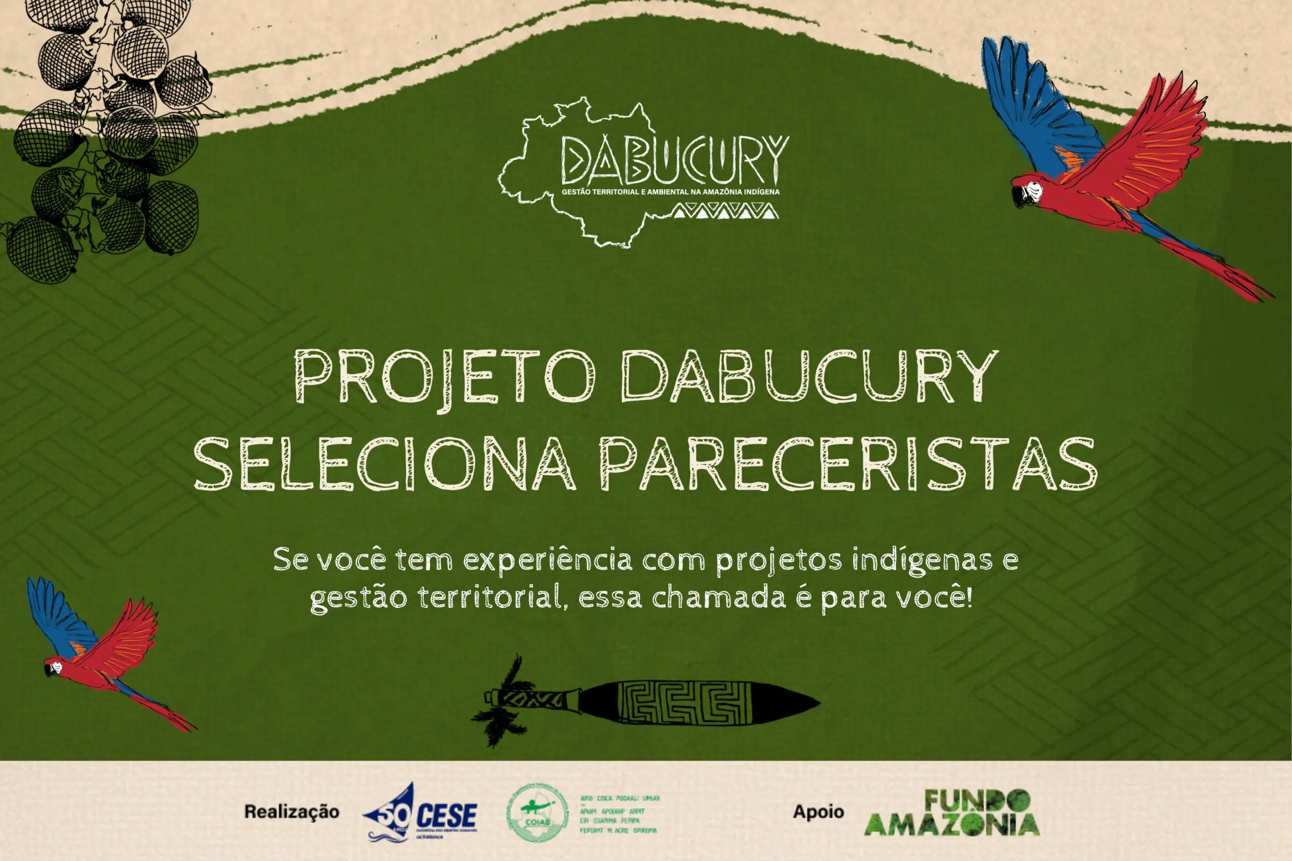Dabucury Parecerista 2025