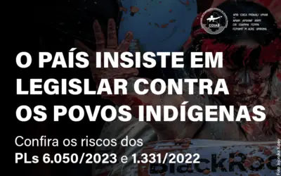 Notas técnicas sobre os PLs 1.331/22 e 6.050/23