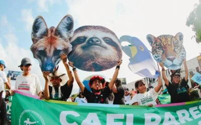 Crianças indígenas no centro do debate climático – Coiab leva Cafi Parentinho para a COP30