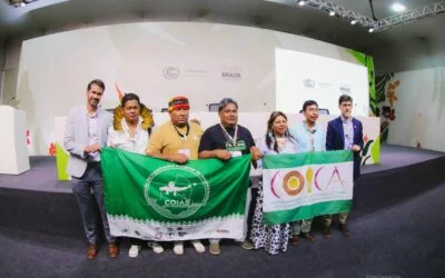 Lideranças Indígenas alertam para “cenário apocalíptico” da Amazônia