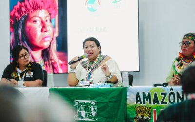 “A vida dos povos indígenas não pode valer o preço do petróleo”