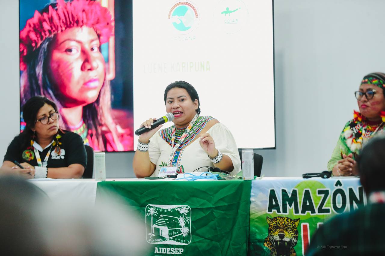 Painel Amazônia Livre de Combustíveis Fósseis – Créditos – Kaiti Topramre (3)