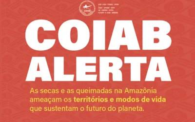 Povos indígenas enfrentam ciclo histórico de secas e queimadas entre 2023 e 2025