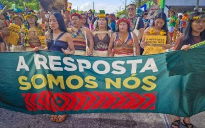 Brasil declara duas Terras Indígenas na Amazônia e Coiab cobra avanço em outras 29 áreas já declaradas