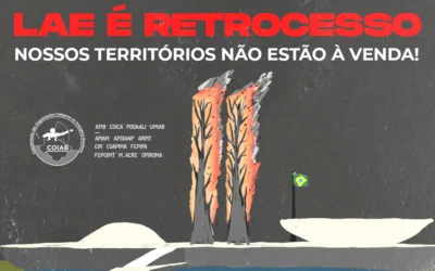 Posicionamento oficial da Coordenação Das Organizações Indígenas Da Amazônia Brasileira (Coiab) contra a aprovação da Licença Ambiental Especial