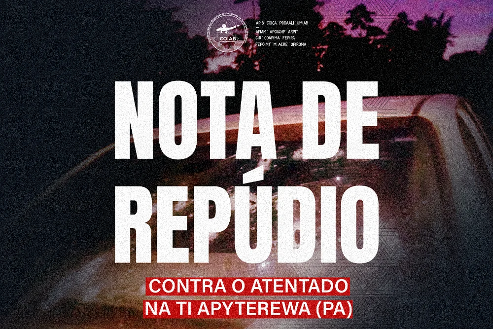 nota de repudiosite