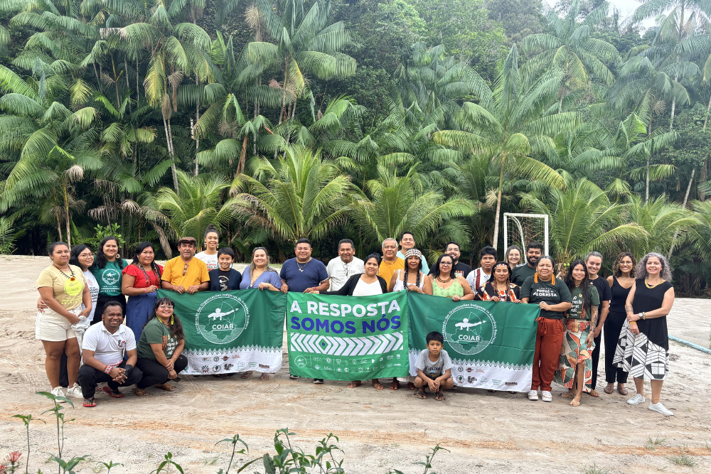 Planejamento Estratégico – Coiab – Valdeniza Vasques