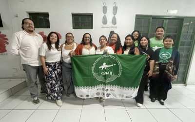 Coiab discute a criação de indicadores indígenas de desenvolvimento em reunião com a Coica