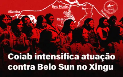 Coiab intensifica atuação jurídica e política contra avanço da Belo Sun no Xingu