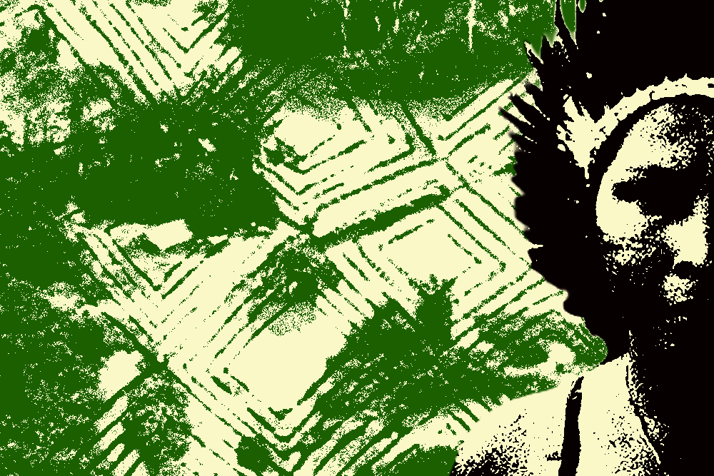 site parakanã Coiab denuncia ataque a tiros contra indígenas Parakanã no sul do Pará